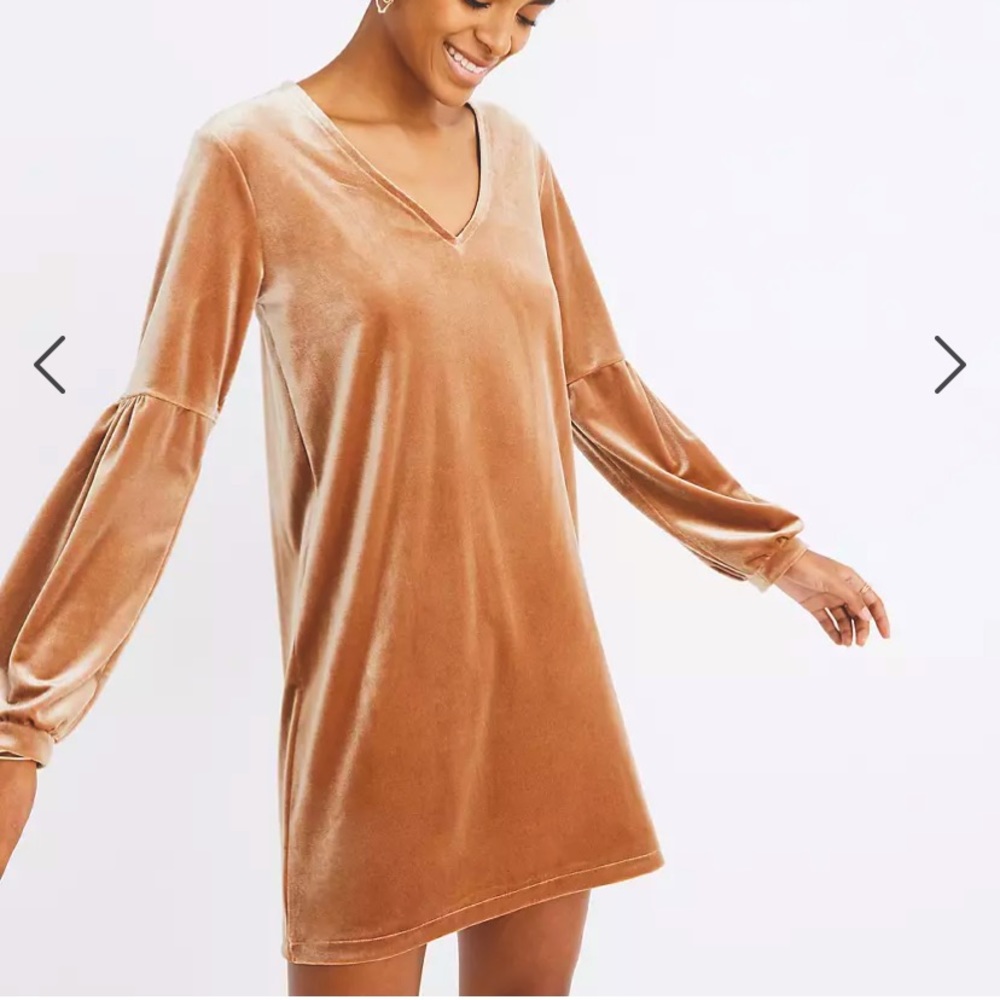 Madewell Velvet Balloon Sleeve Dress
